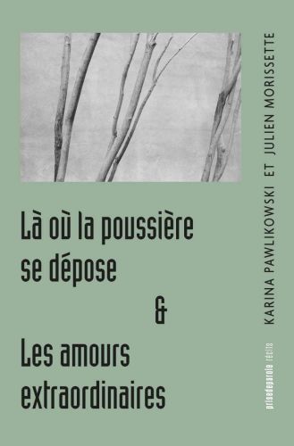 Là où la poussière se dépose, suivi de les amours extraordinaires