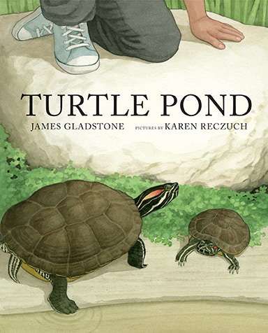 Turtle pond