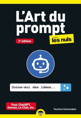 Art du prompt pour les nuls, (l')
