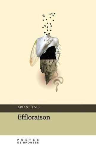 Effloraison
