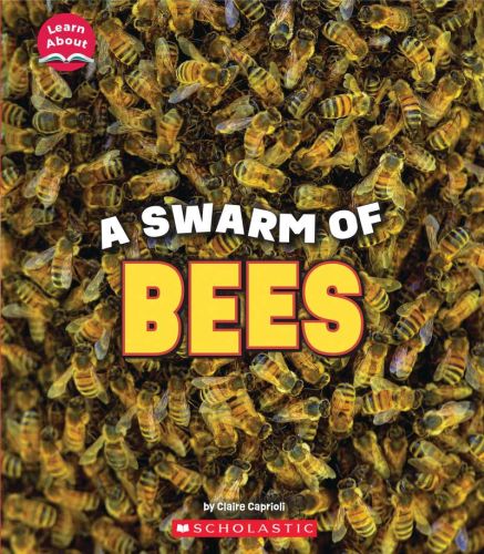 A swarm of bees (learn about: animals)