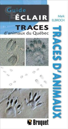 Traces d'animaux du québec