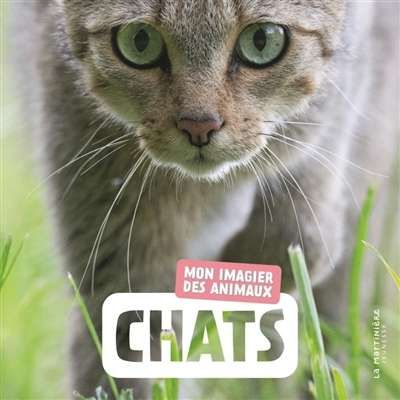 Chats