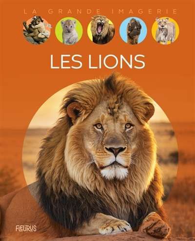 Lions, (les)