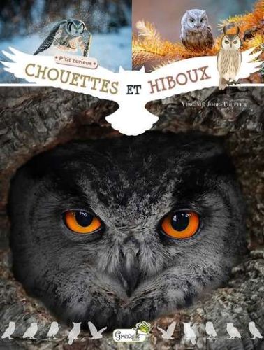 Chouettes et hiboux