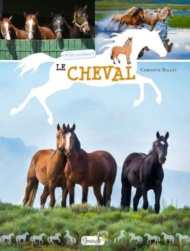 Cheval, (le)