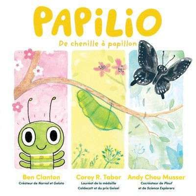Papilio