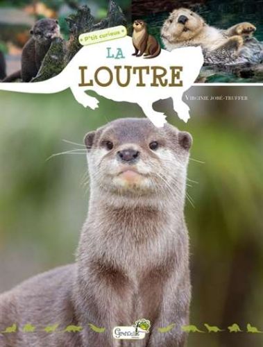 Loutre, (la)