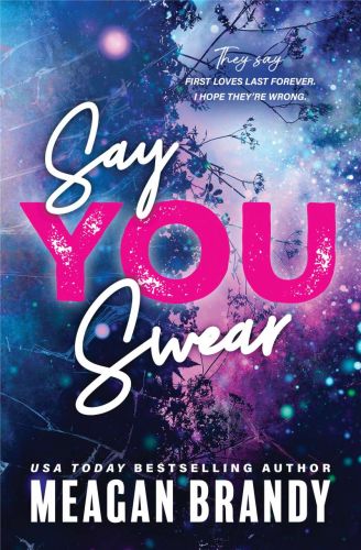 Say you swear, book 1, boys of avix