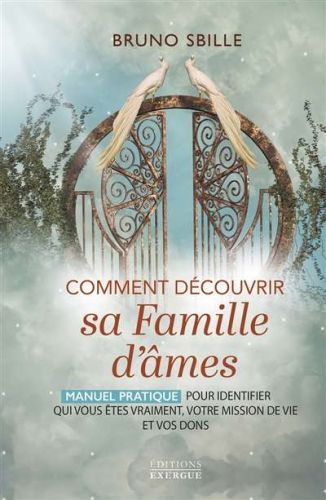 Comment découvrir sa famille d'âmes