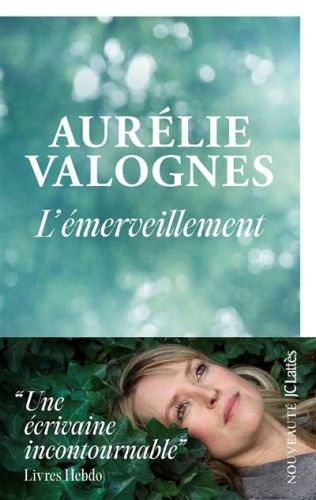 Émerveillement, (l')