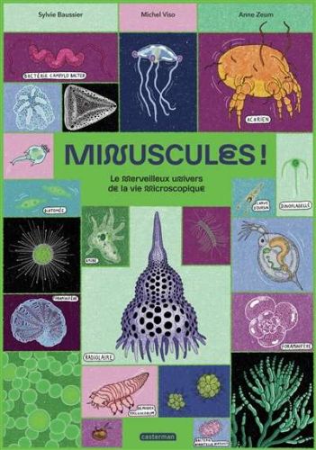 Minuscules !