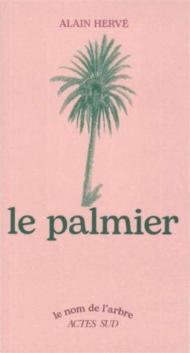 Palmier, (le)