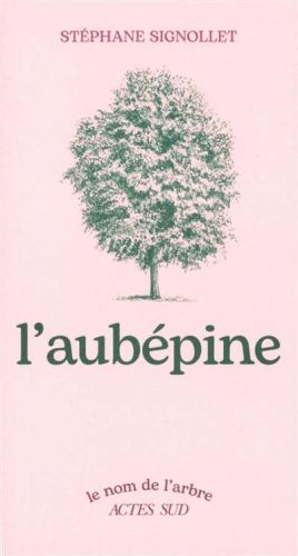 Aubépine, (l')