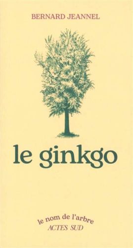 Ginkgo, (le)