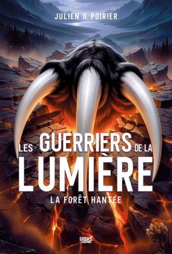 Guerriers de la lumière, (les)