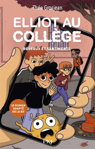 Réseaux et sentiments