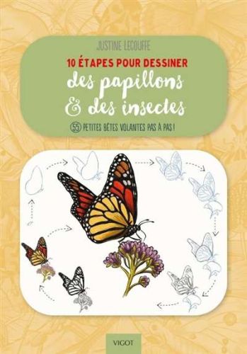 10 étapes pour dessiner des papillons & des insectes