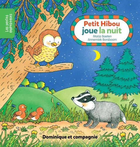 Petit hibou joue la nuit