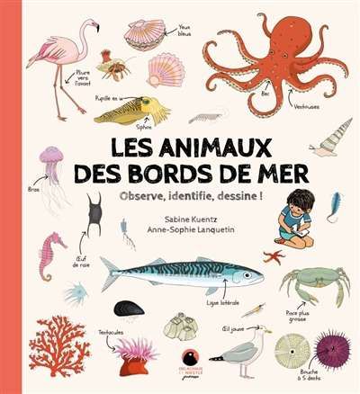 Animaux des bords de mer, (les)