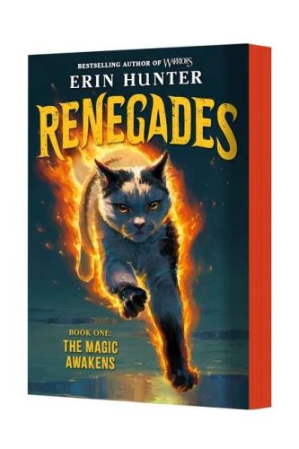 Renegades #1: the magic awakens