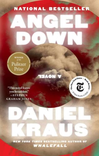 Angel down (pulitzer prize winner)