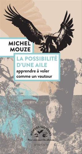 Possibilité d'une aile, (la)
