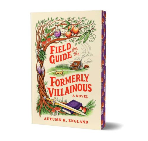 Field guide for the formerly villainous, book 1, everyday magic
