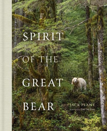 Spirit of the great bear