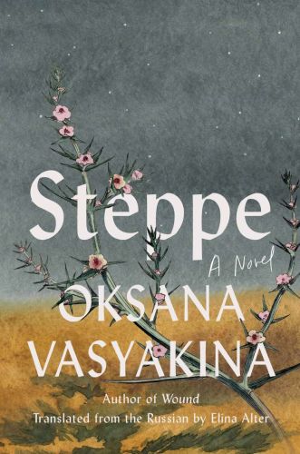 Steppe