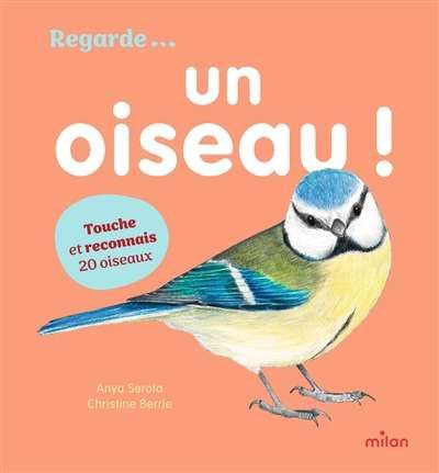 Regarde... un oiseau !