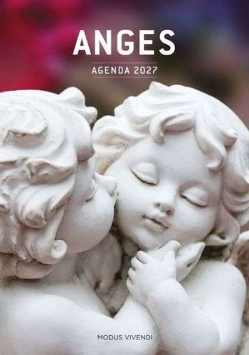 Anges - agenda 2027
