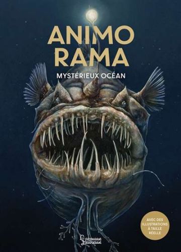 Mystérieux océan
