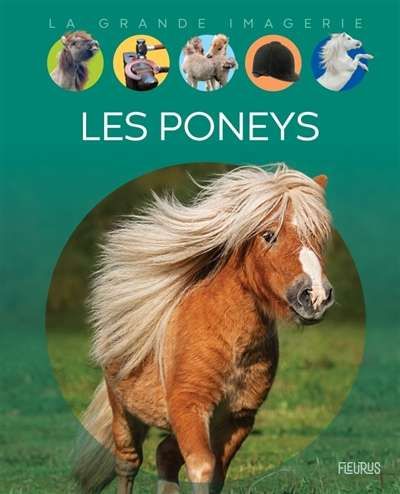Poneys, (les)