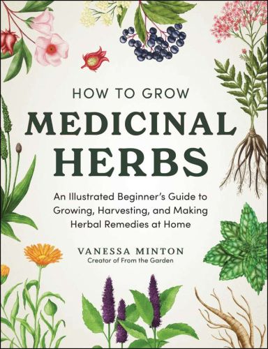 How to grow medicinal herbs