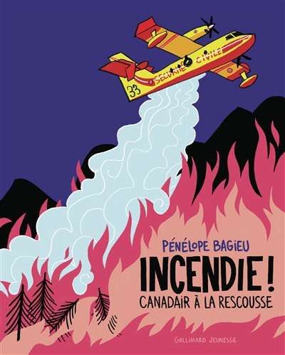 Incendie ! canadair à la rescousse
