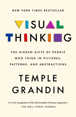 Visual thinking