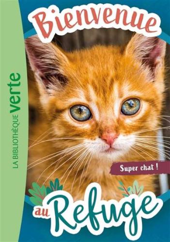 Super chat !