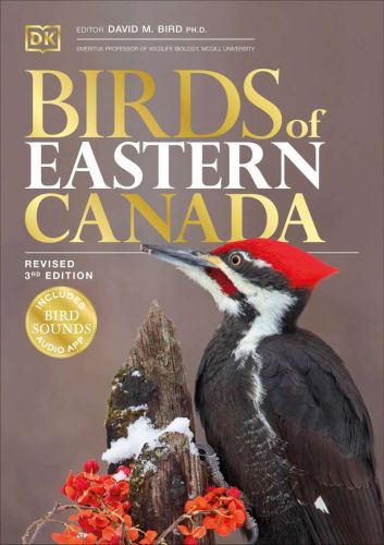 Birds of eastern canada