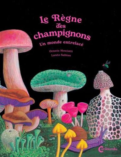 Règne des champignons, (le)