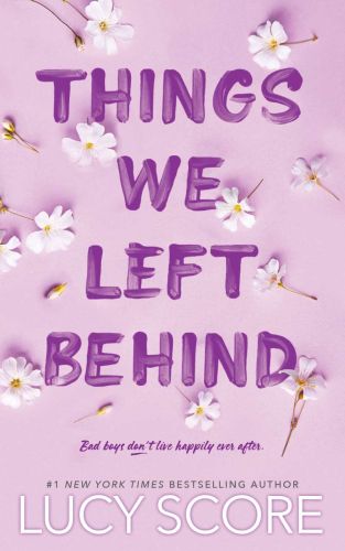 Things we left behind, book 3, knockemout