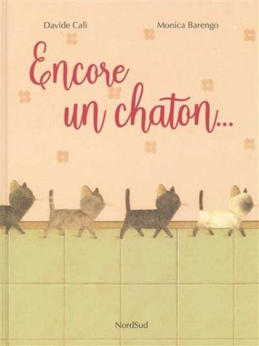 Encore un chaton...
