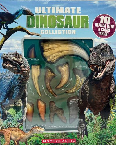 Ultimate dinosaur tooth  claw collection