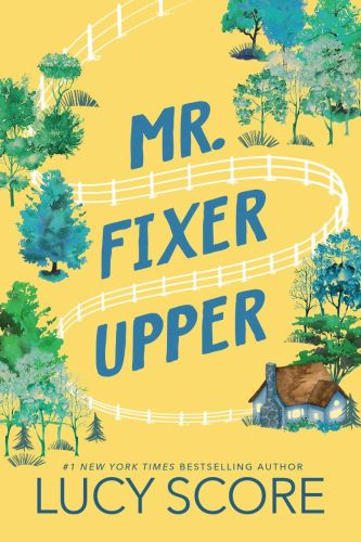 Mr. fixer upper