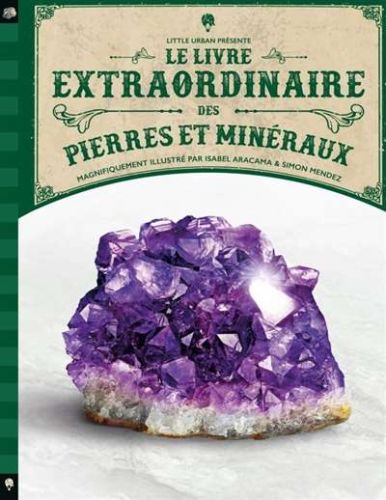 Livre extraordinaire des pierres et minéraux, (le)