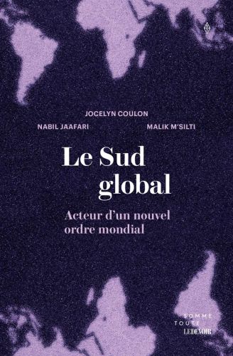 Le sud global