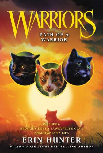 Warriors: path of a warrior