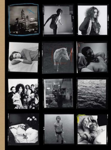 Hujar:contact