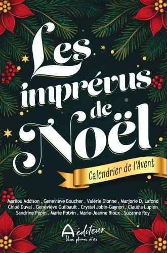 Les imprévus de noël - calendrier de l'avent