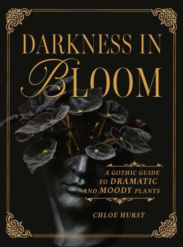 Darkness in bloom